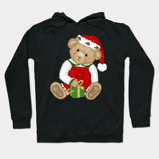 Teddy Bear Boy Beary Merry Christmas Hoodie